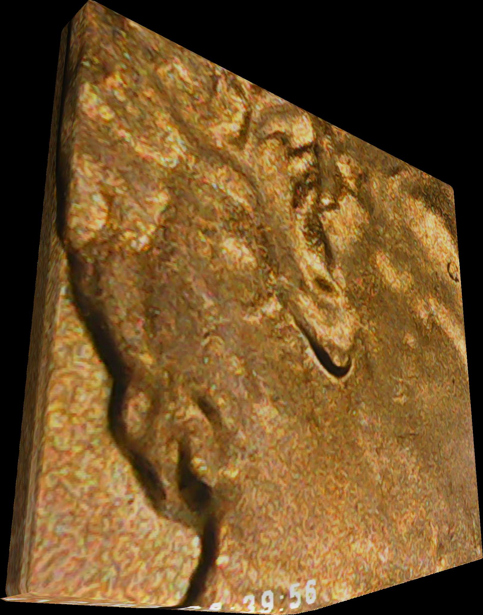 2022-D-LSC-Double-Ear